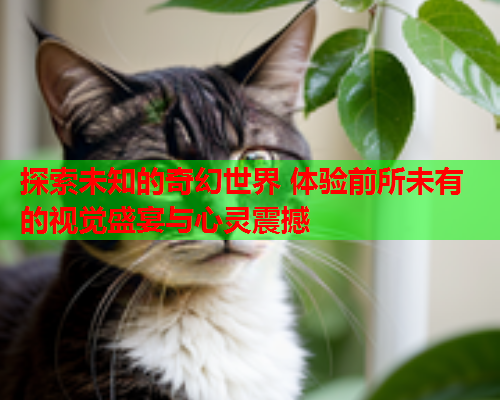 探索未知的奇幻世界 体验前所未有的视觉盛宴与心灵震撼  第1张