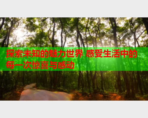 探索未知的魅力世界 感受生活中的每一次惊喜与感动  第1张