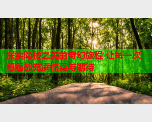 探索隐秘之美的奇幻旅程 让每一次邂逅都充满惊喜与期待  第1张