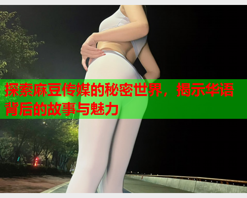 探索麻豆传媒的秘密世界，揭示华语背后的故事与魅力  第1张