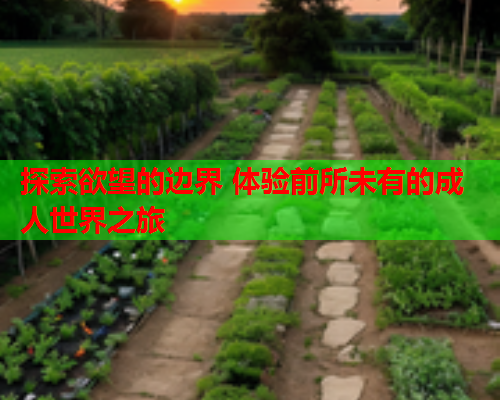 探索欲望的边界 体验前所未有的成人世界之旅  第2张