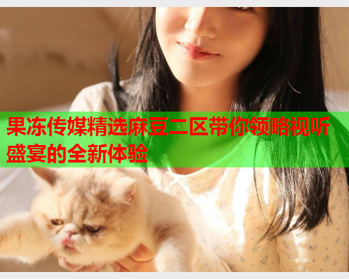 果冻传媒精选麻豆二区带你领略视听盛宴的全新体验  第1张