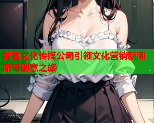 武豆文化传媒公司引领文化营销新潮流与创意之旅  第1张