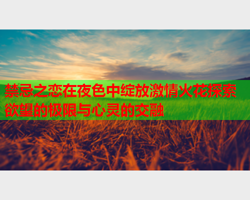 禁忌之恋在夜色中绽放激情火花探索欲望的极限与心灵的交融  第2张