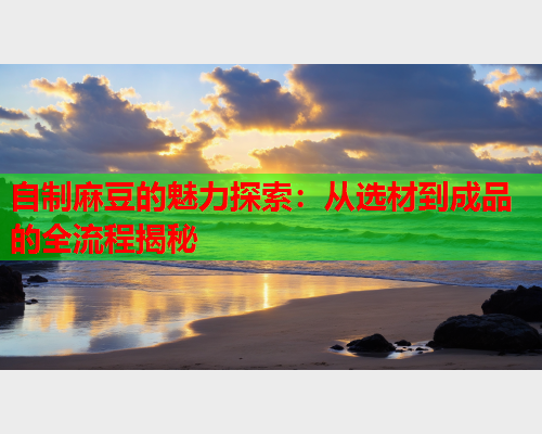 自制麻豆的魅力探索：从选材到成品的全流程揭秘  第1张
