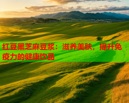 红豆黑芝麻豆浆：滋养美肤，提升免疫力的健康饮品  第1张
